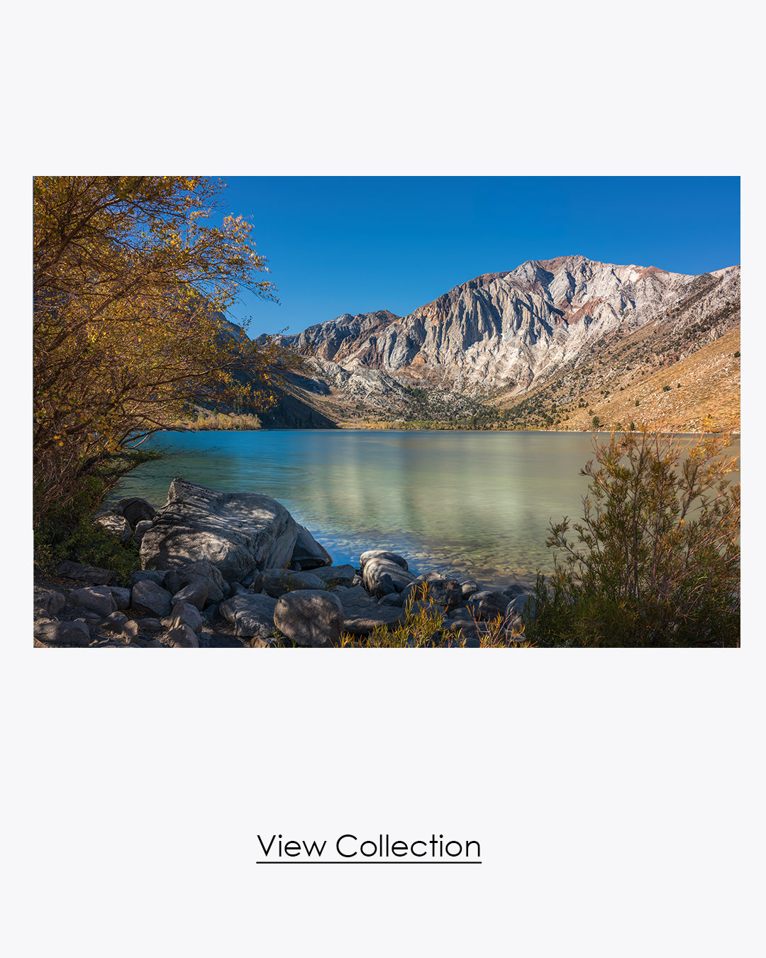 Seasons Collection