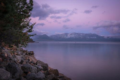 A rocky, pine-framed Lake Tahoe shoreline beneath a lavender sky, with snow-dusted mountains across still water after a morning snowfall.