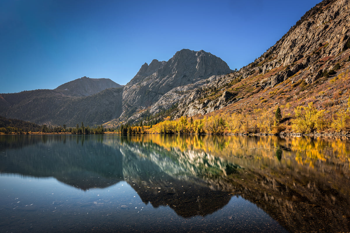 Golden aspens line Silver Lake beneath rugged Eastern Sierra peaks, with mountains and blue sky reflected in the still water.
