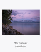 Lavender dawn light settles over Lake Tahoe, framed by pine branches and a rocky shore.