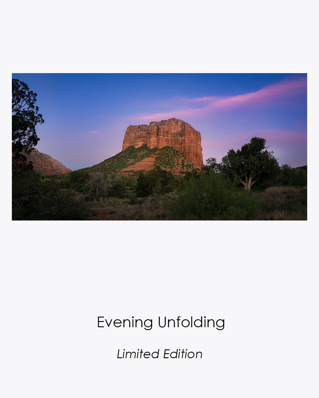 Courthouse Butte framed by desert trees beneath a ribbon of pink and lavender evening clouds.