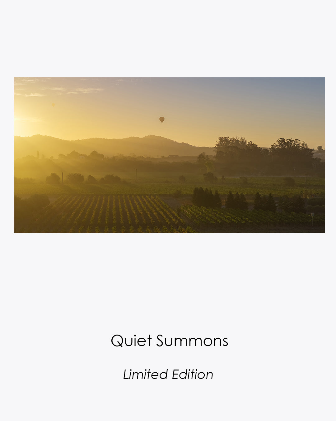 Quiet Summons limited-edition photograph of hot air balloons drifting above a Sonoma vineyard at golden sunrise.