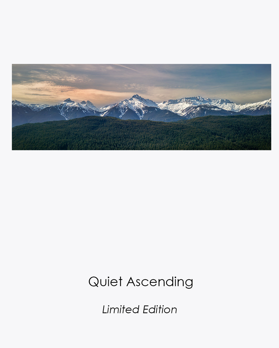 Snow-covered British Columbia mountains rising above a vast evergreen forest beneath soft peach and blue light.