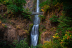 Multnomah Falls and its empty bridge surrounded by rich green and autumn foliage in Oregon.