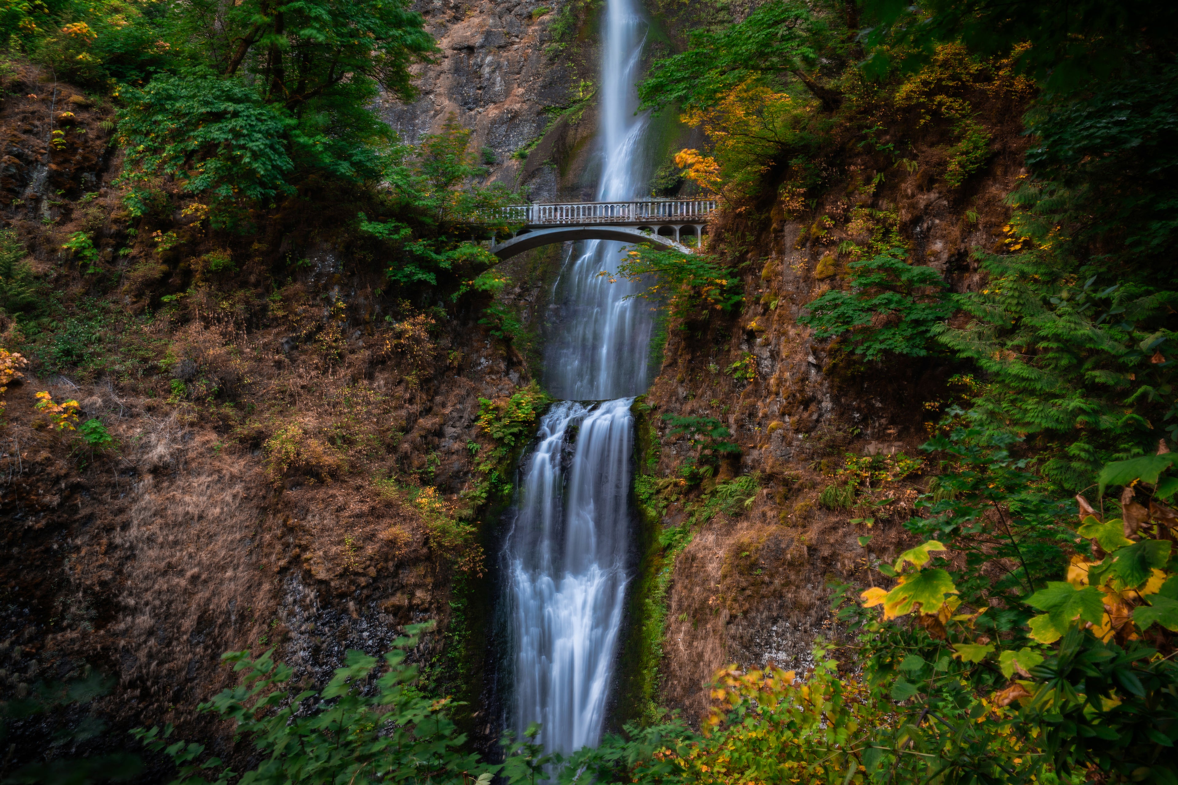 Multnomah Falls and its empty bridge surrounded by rich green and autumn foliage in Oregon.