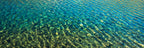 The Dance Below, a panoramic photograph of clear turquoise water with golden sunlight forming shifting patterns across submerged stones and surface ripples.